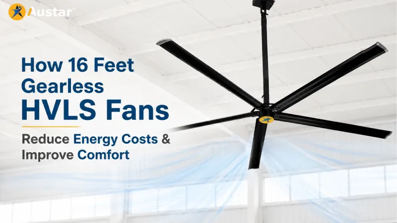 How 16 Feet Gearless HVLS Fans Reduce Energy Costs & Improve Comfort