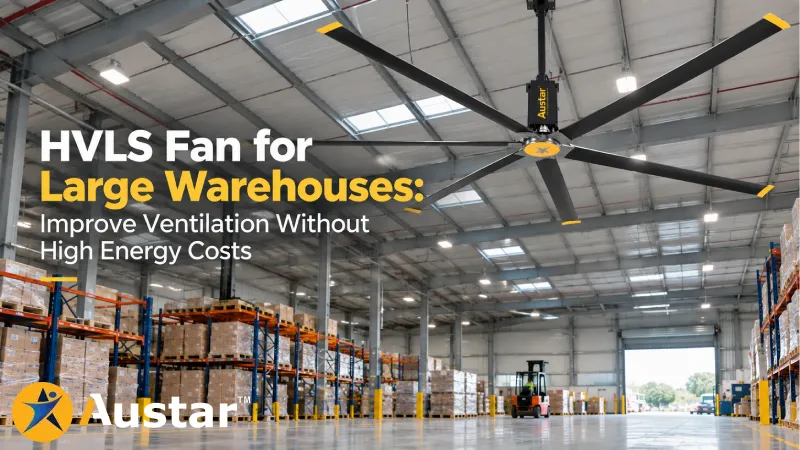 HVLS Fan for Large Warehouses: Improve Ventilation Without High Energy Costs